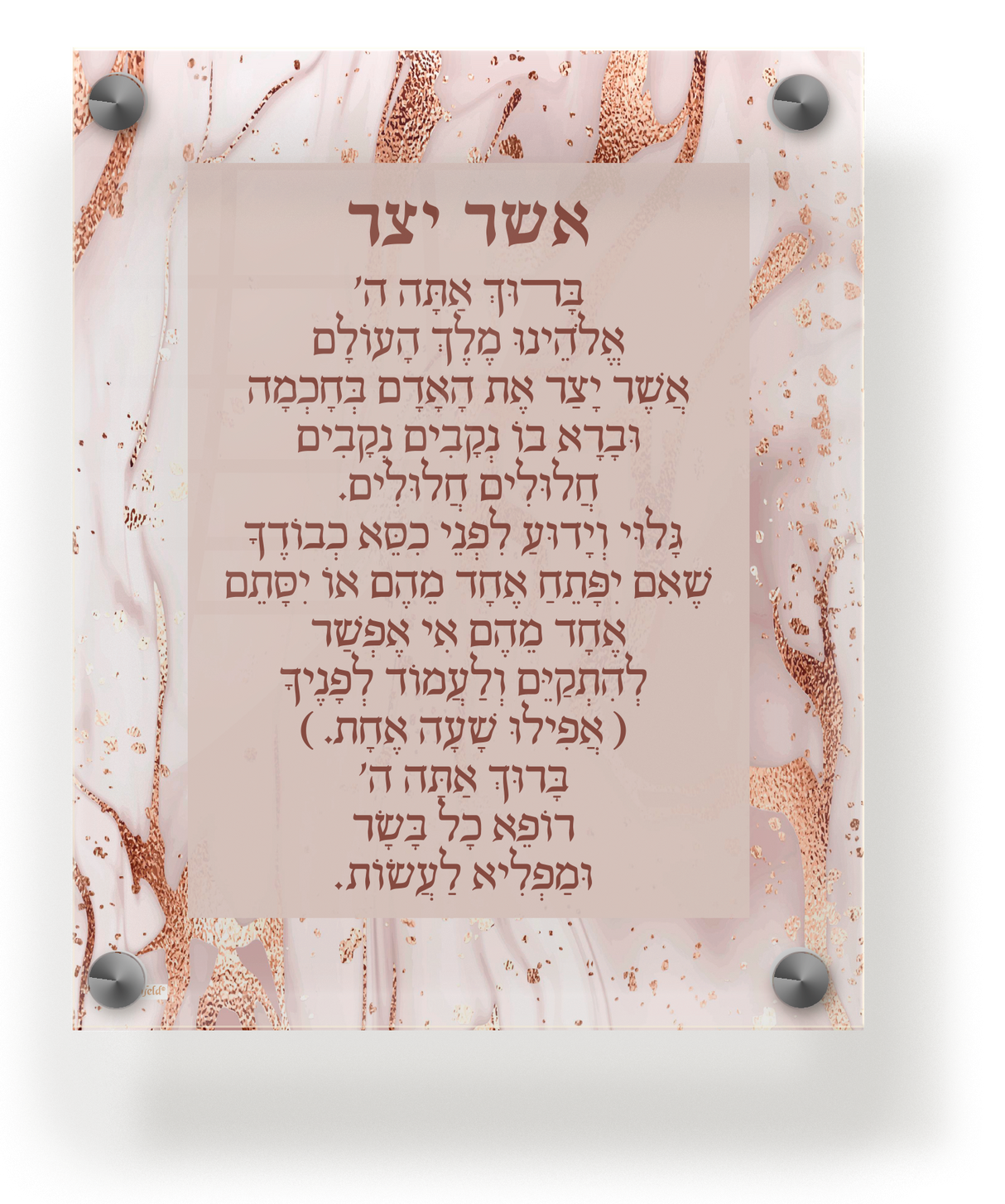 Acrylic Asher Yatzar Wall Frame Ashkenaz 9.5x11.5" - LEHADAR