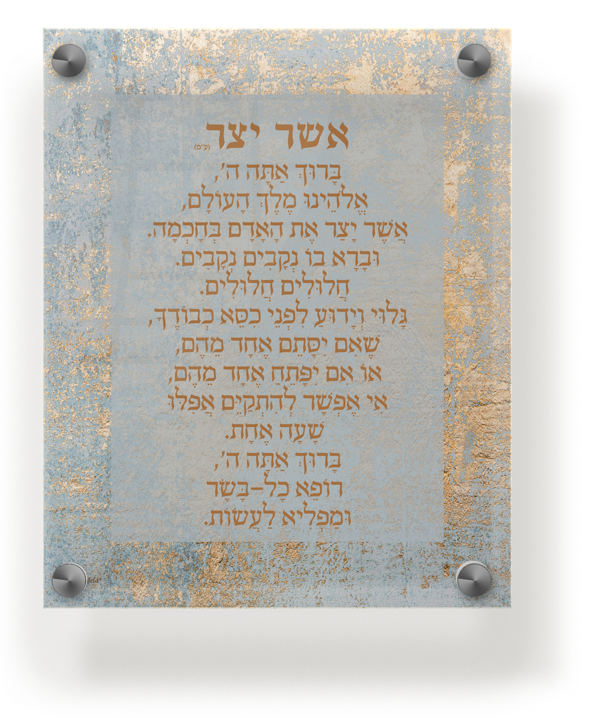 Acrylic Asher Yatzar Wall Frame Edos Mizrach 9.5x11.5 - LEHADAR