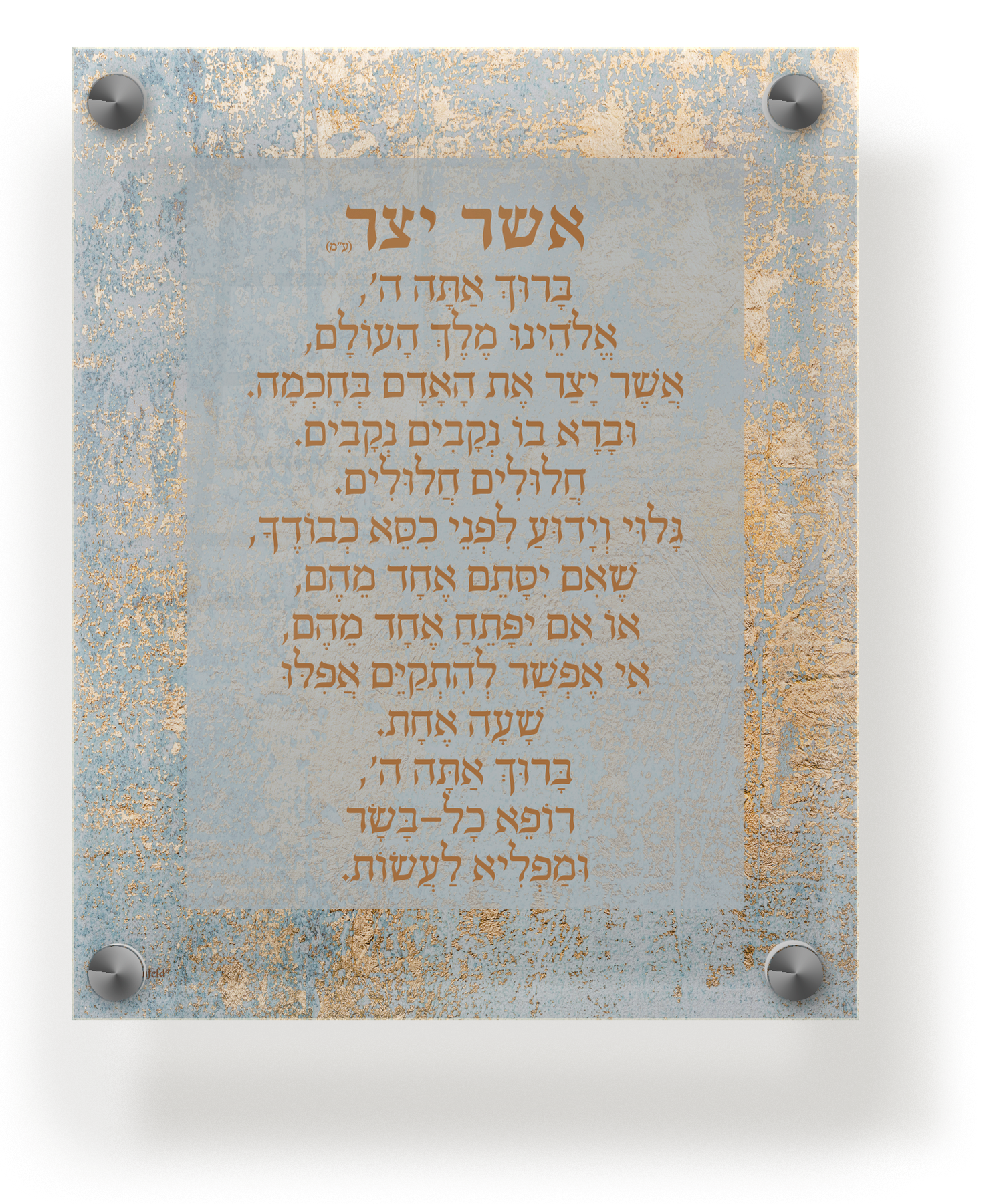 Acrylic Asher Yatzar Wall Frame Edos Mizrach 9.5x11.5 - LEHADAR