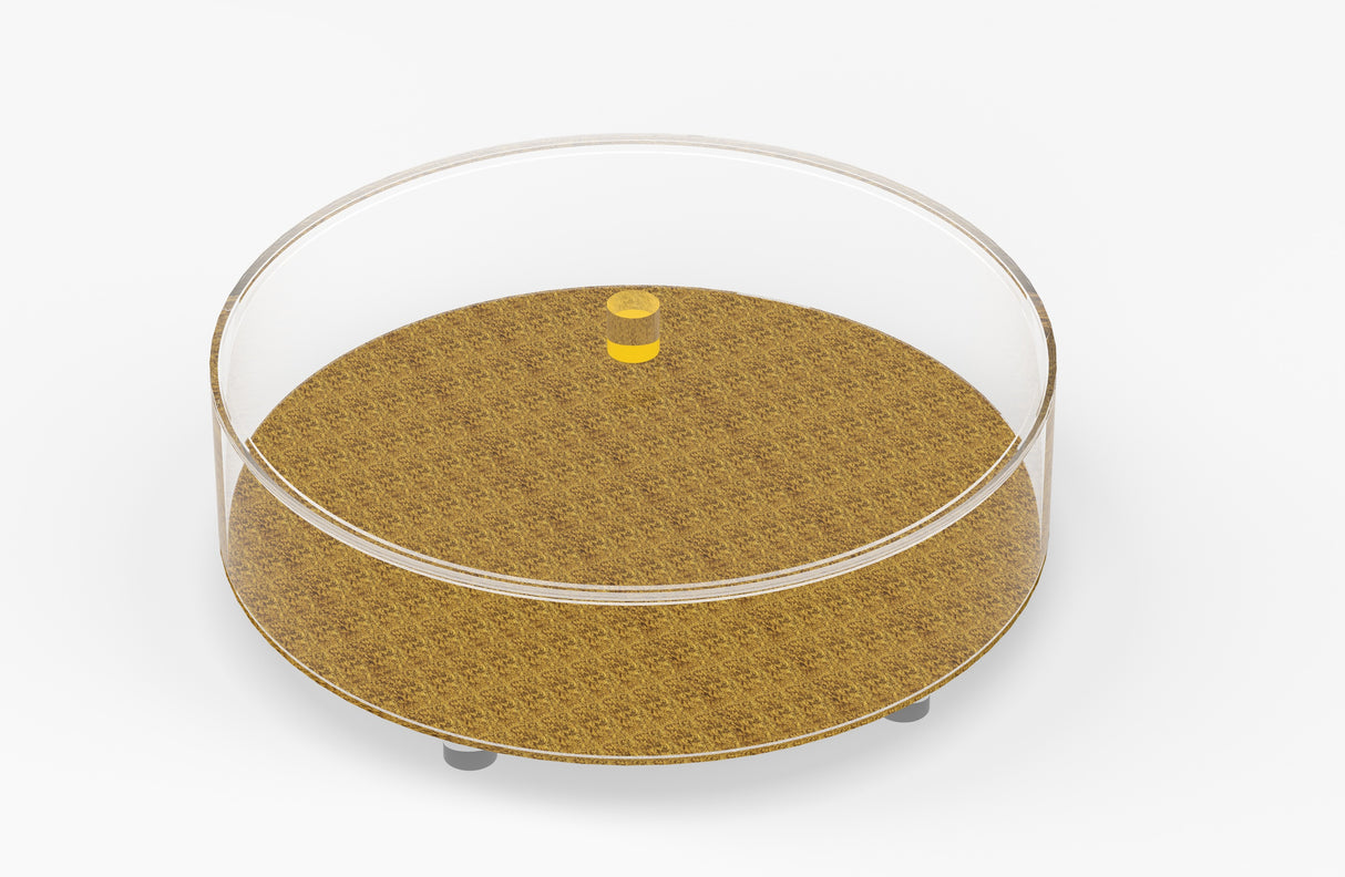 Acrylic Matzoh Box Gold Textured Design 12.5‰W X 3‰H - LEHADAR