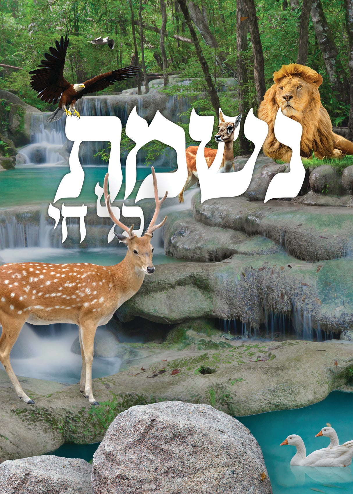 Nishmas Kol Chai Card 2 fold 4x6" - LEHADAR