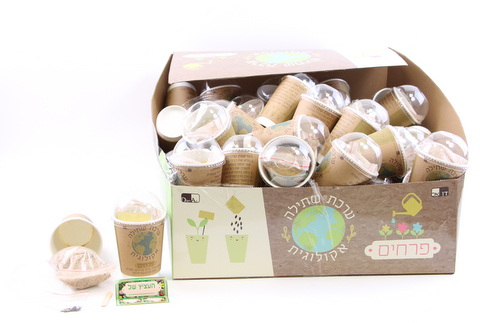 Create Your own Plant Ecological planting kit 15x9 cm - LEHADAR