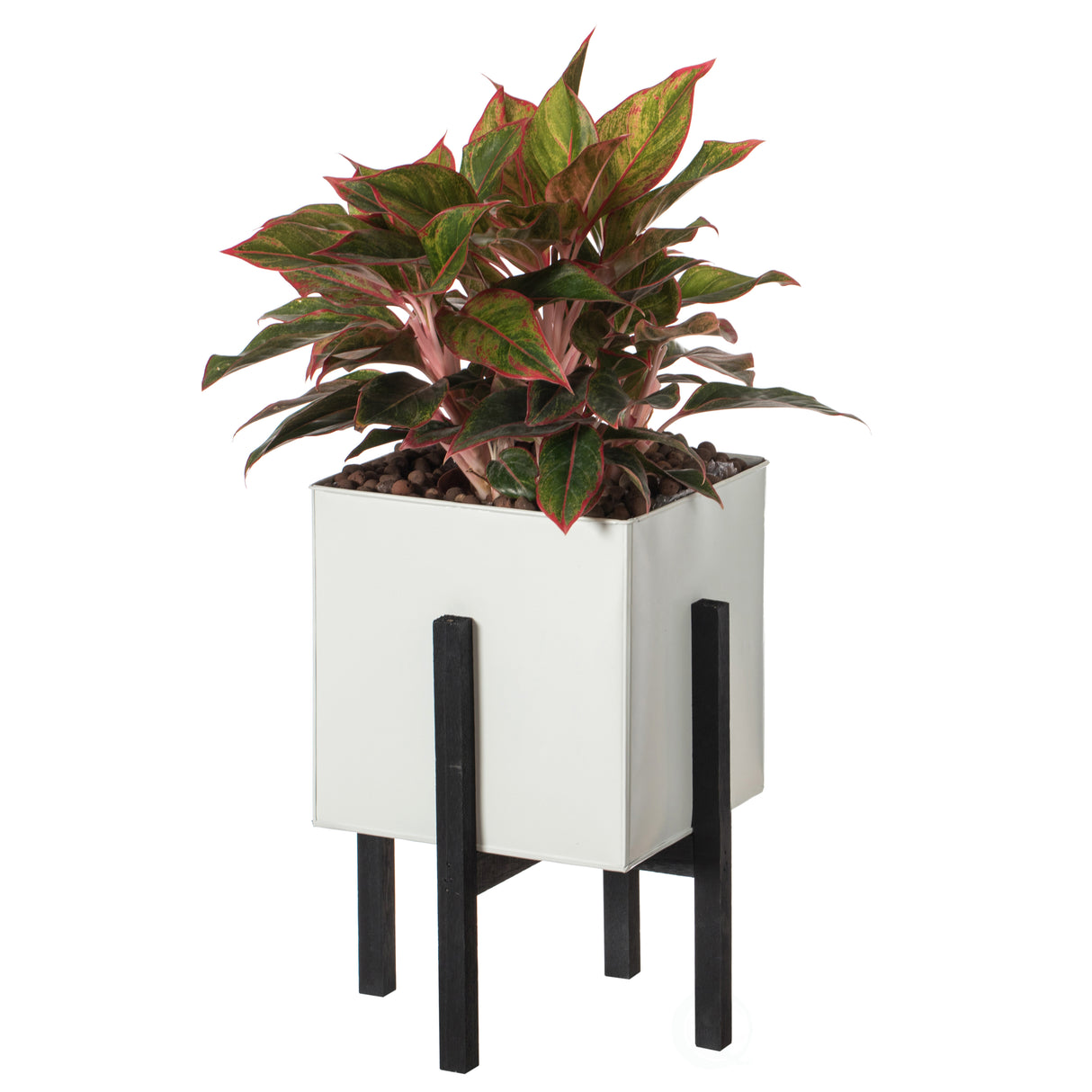 Indoor and Outdoor White Iron Planting Box with Black Wooden Frame, Large Planter - LEHADAR