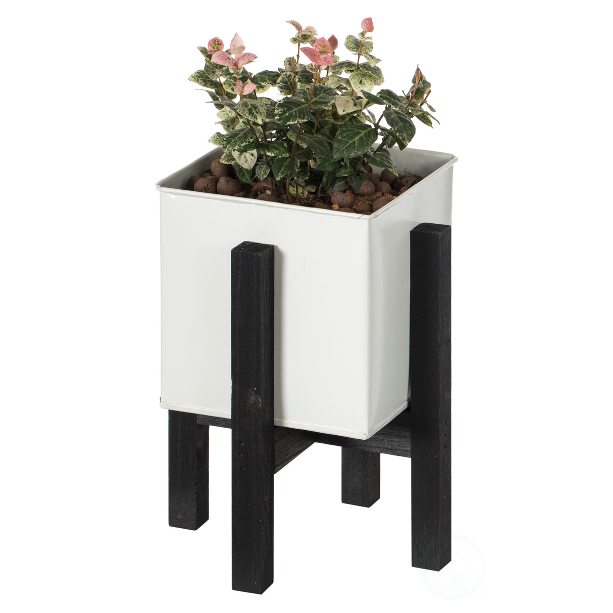 Indoor and Outdoor White Iron Planting Box with Black Wooden Frame, Small Planter - LEHADAR