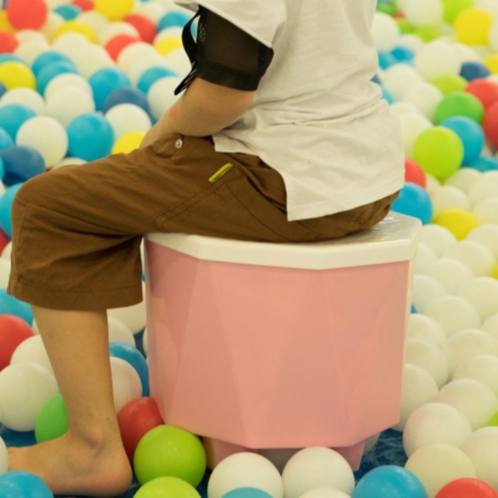 Plastic 2 in 1 Storage Step Stool - LEHADAR