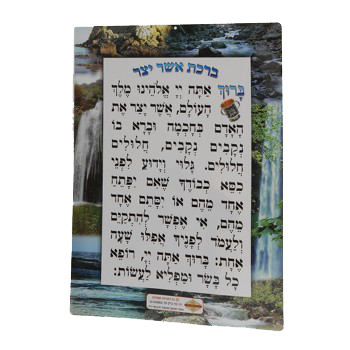 Asher Yatzar Extra-large 11x16" EDUT MIZRACH - LEHADAR