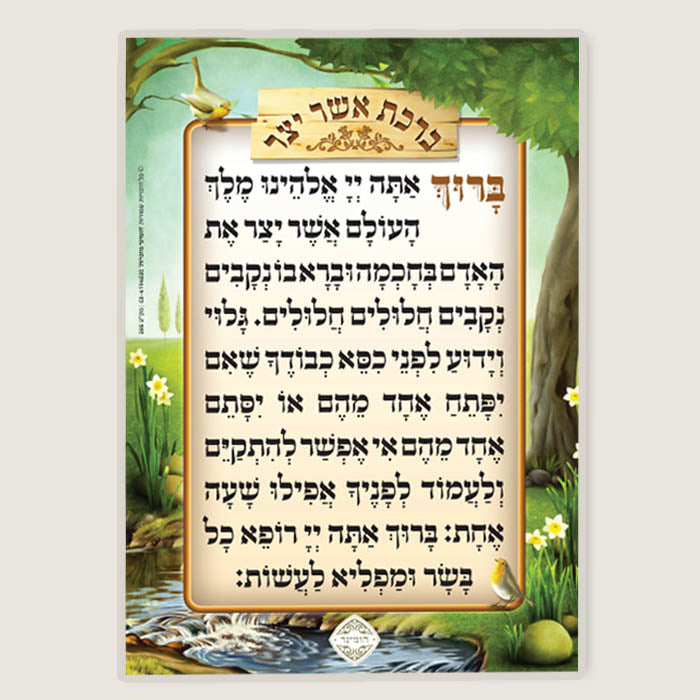 Asher Yatzar Card Medium EDUT MIZRACH 5x7.5" - LEHADAR