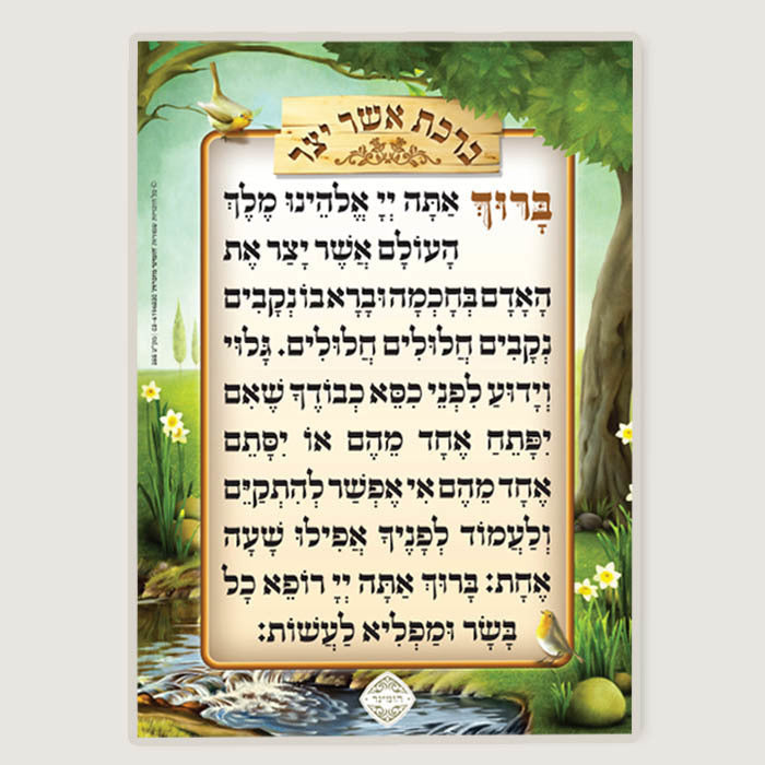 Asher Yatzar Card Pocket Size Laminated (Pack of 10) - LEHADAR