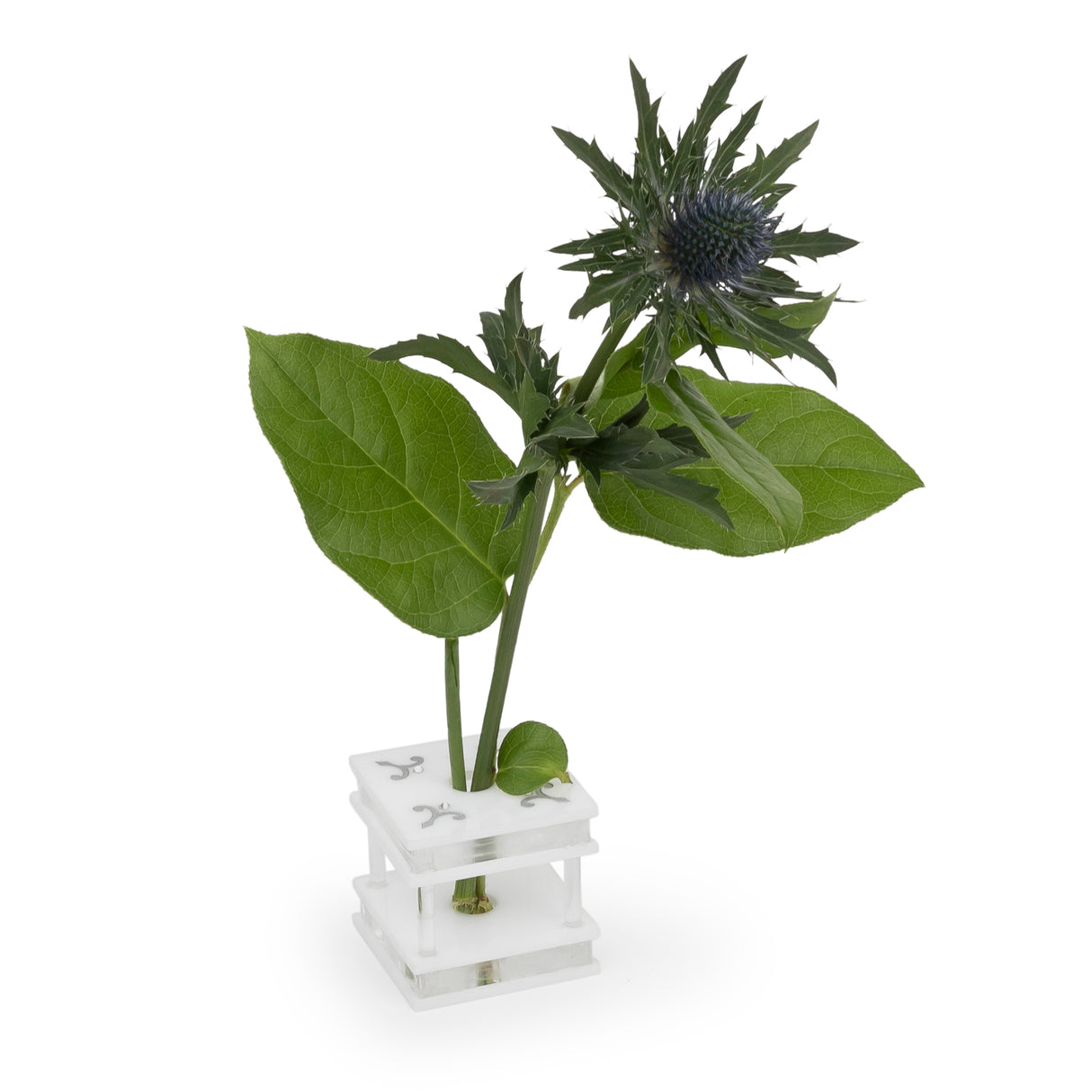 Majestic Feather Decor Engraved GD/SL/BK W/Crystals (Pack of 4) - LEHADAR