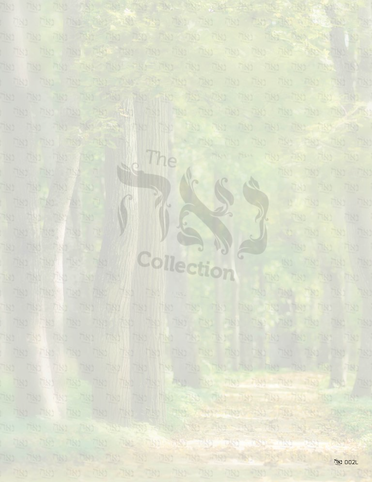 Design paper Scenic Pathway 3x4 " 50 Per Pack - LEHADAR