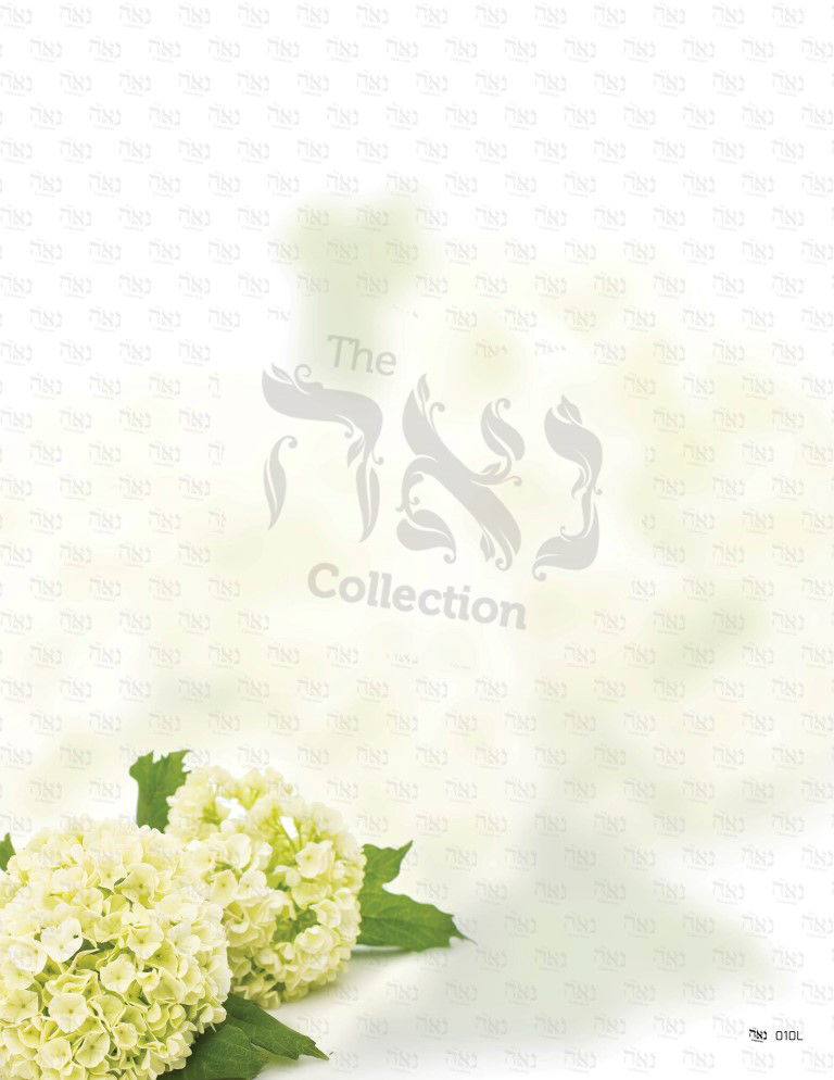 Design paper Winter Hydrangeas 8.5x5.5 " 20 Per Pack - LEHADAR