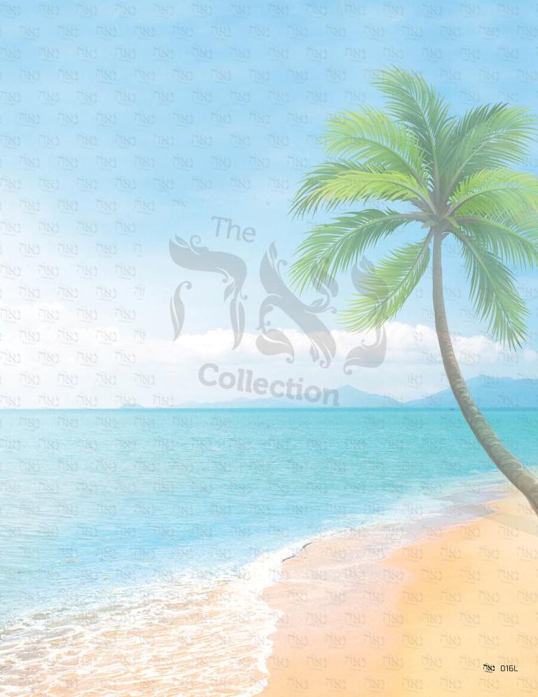 Design paper Pine Tree Waterside 3x4 " 50 Per Pack - LEHADAR