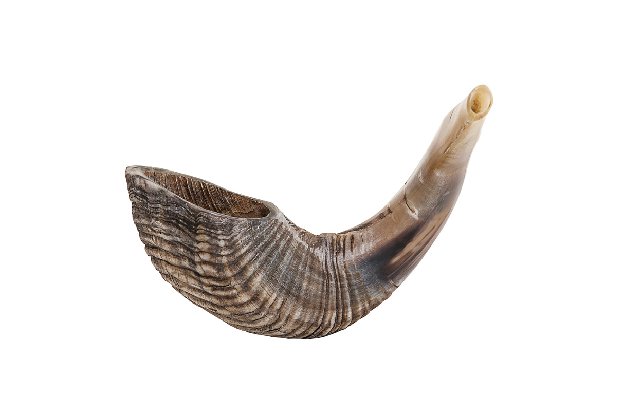 Shofar - 10"-12" - LEHADAR