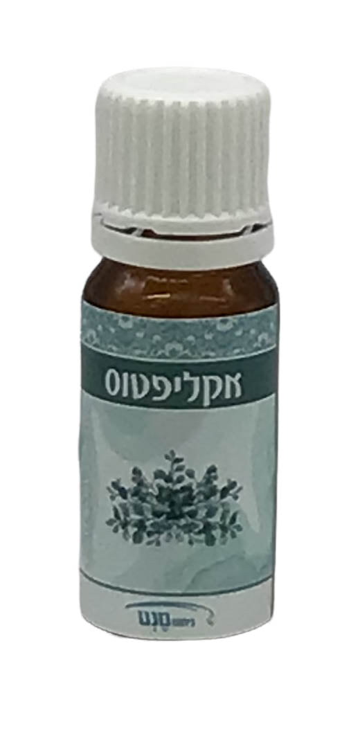 Eucalyptus Flavored Oil - LEHADAR