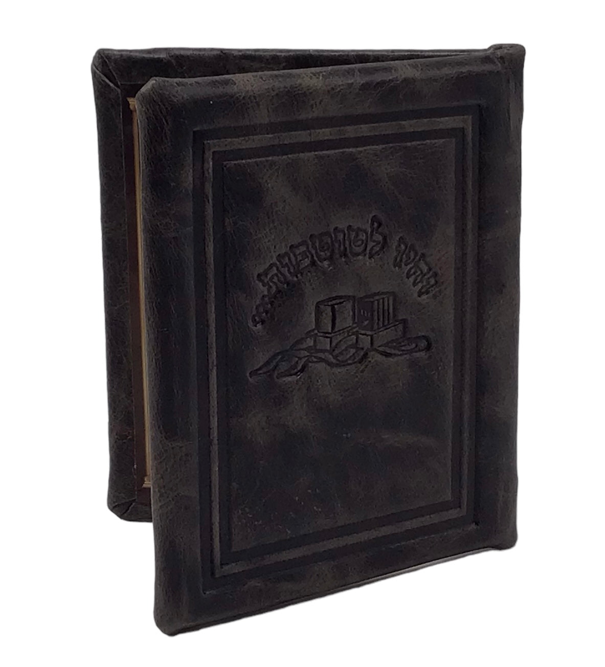 Antique Leather Mirror for Tefillin - LEHADAR