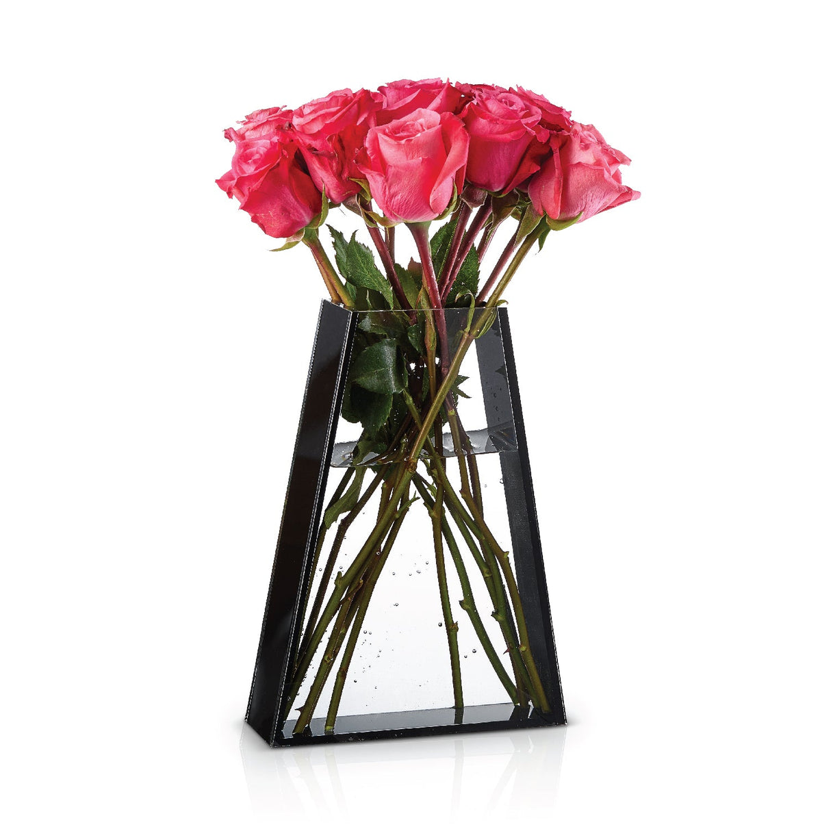 Triangular Vase- Black Lucite - LEHADAR