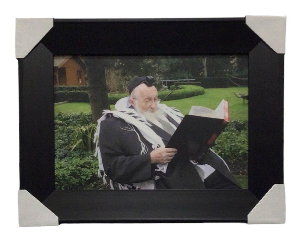 Painting of R' Chaim Scheinberg, Size 10x14, Modern Brown Frame - LEHADAR