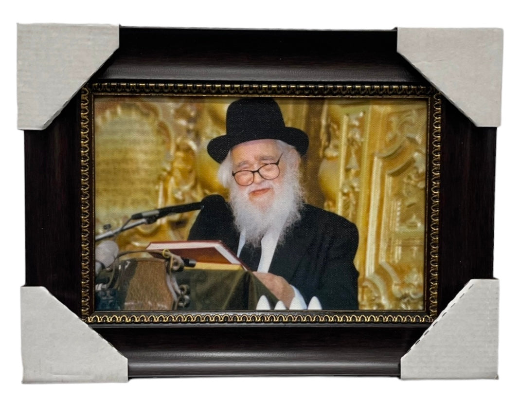 Painting of HaRav Schach, Modern Brown Frame - LEHADAR