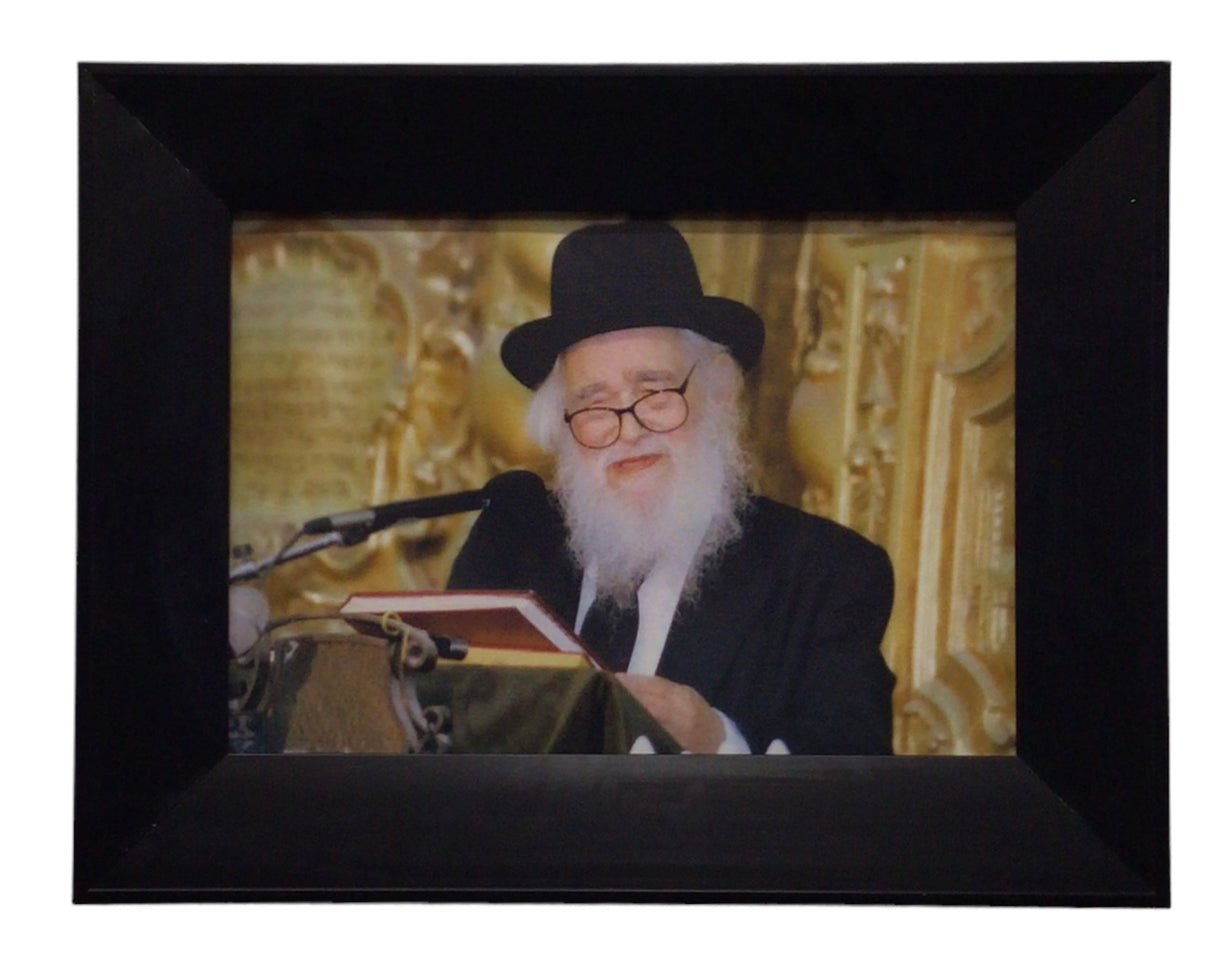 Painting of Harav Schach, Size 14x20, Modern Brown Frame - LEHADAR
