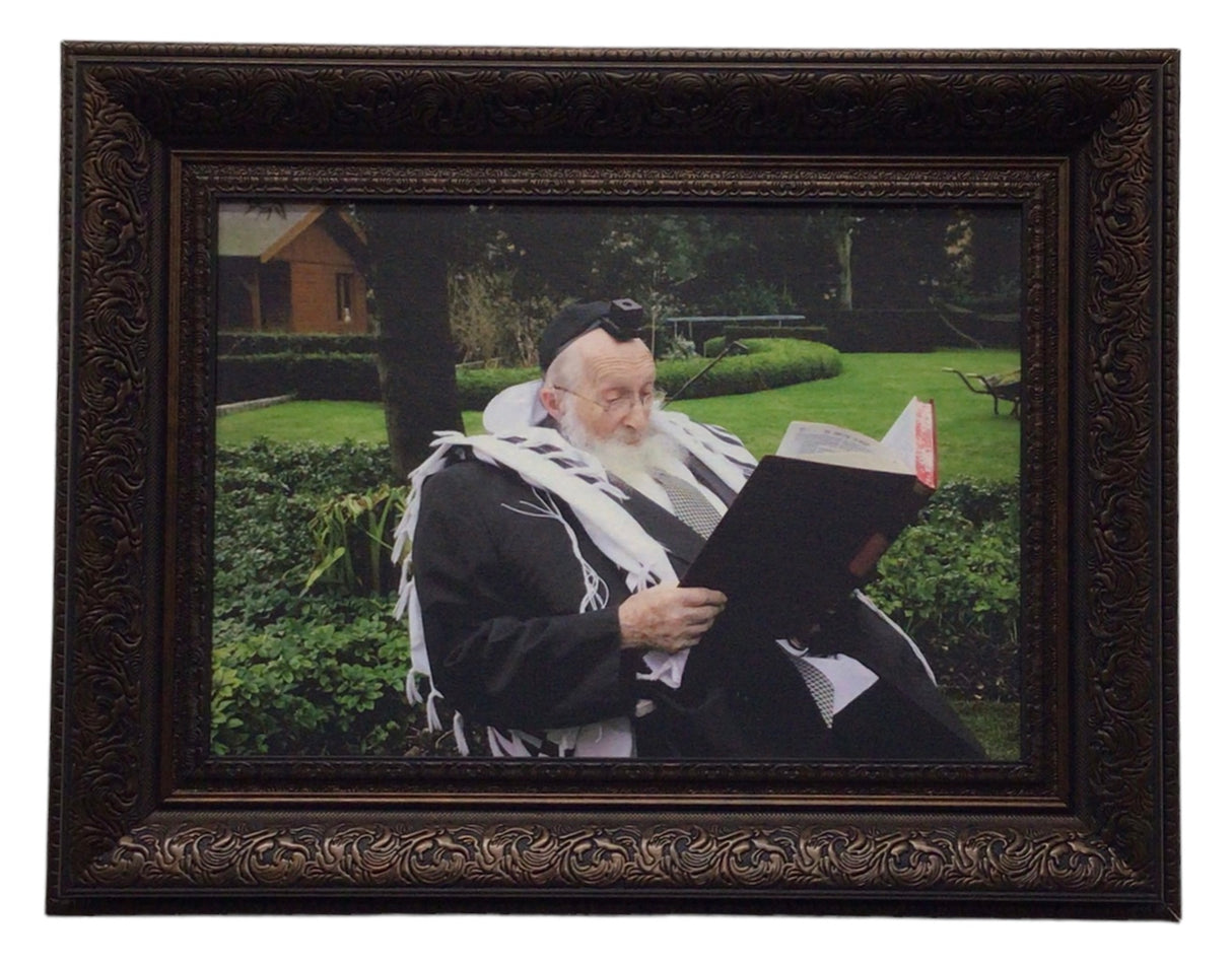 Painting of R' Chaim Scheinberg, Size 14x20, Brown Frame - LEHADAR