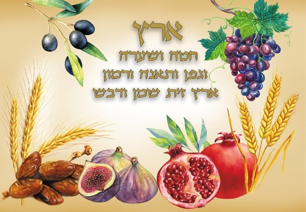 Sukkah Mural Decoration X Large Fabric' Shivat Haminim' print 4’7”X 10’ - LEHADAR