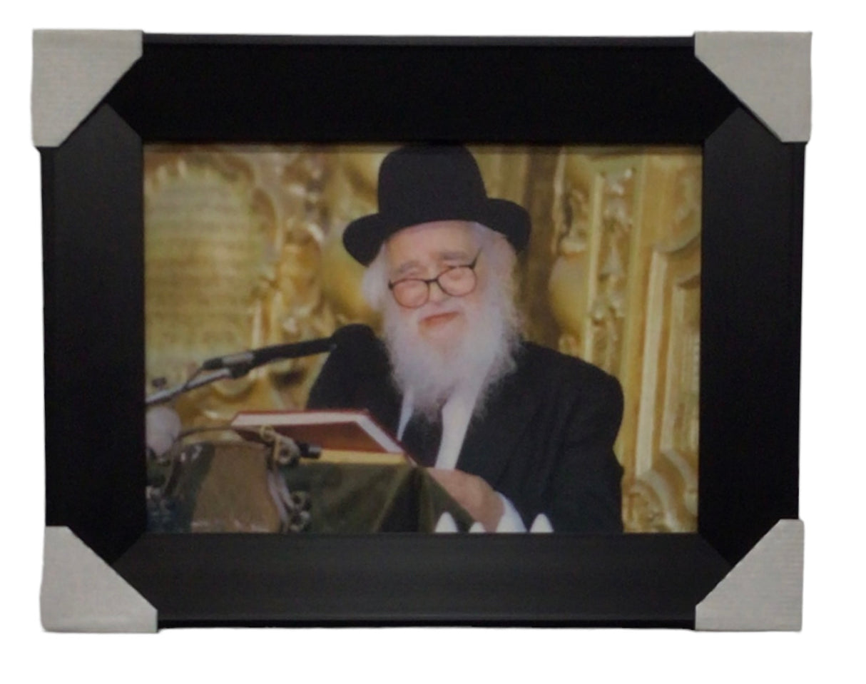 Painting of HaRav Schach, Modern Brown Frame - LEHADAR