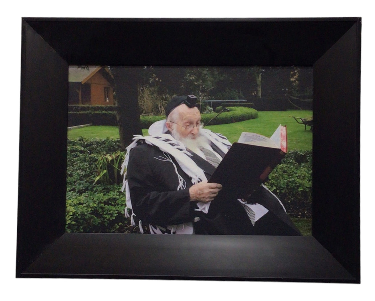 Painting of R' Chaim Scheinberg, Size 14x20, Modern Brown Frame - LEHADAR