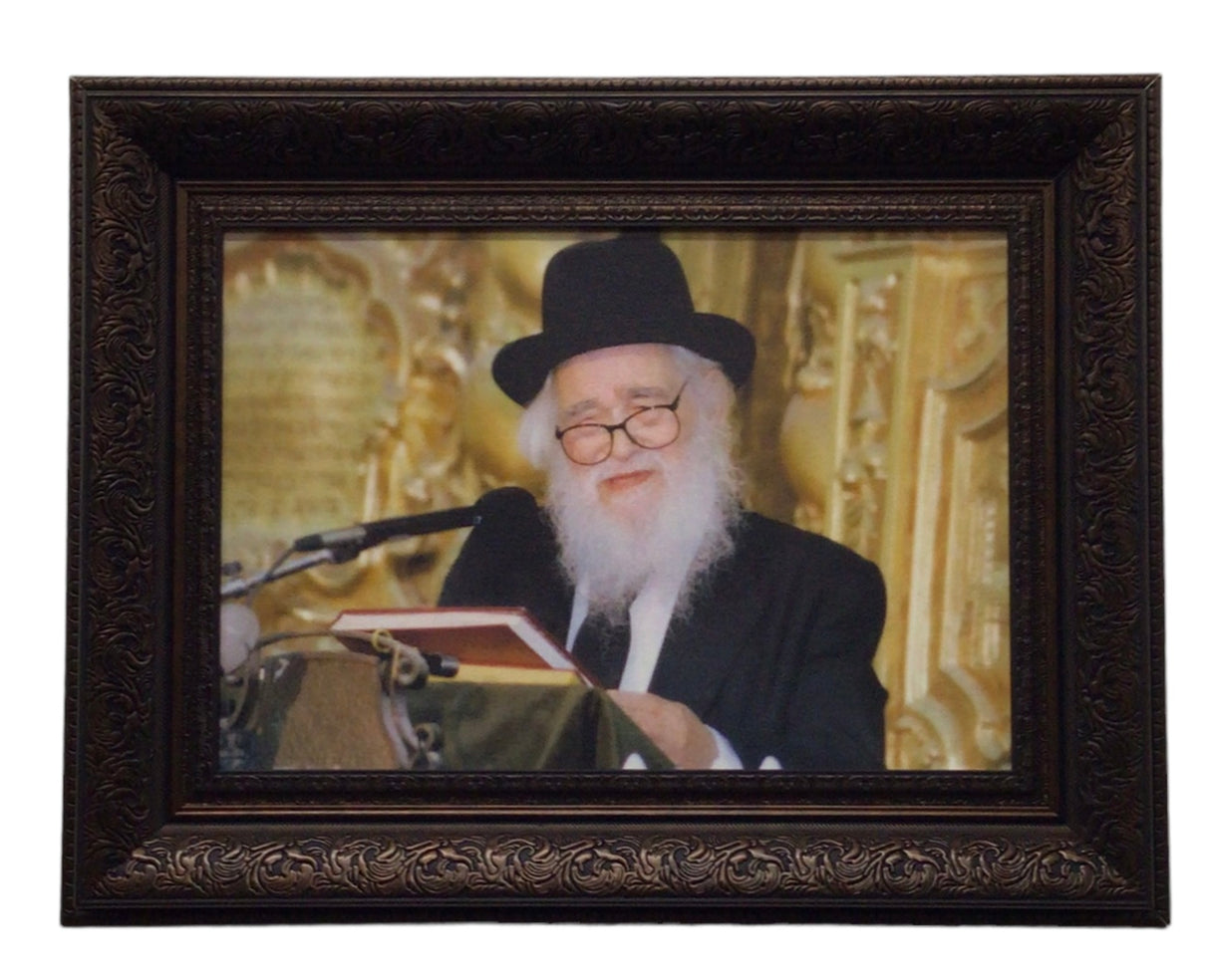 Painting of Harav Schach, size 14*20 - LEHADAR