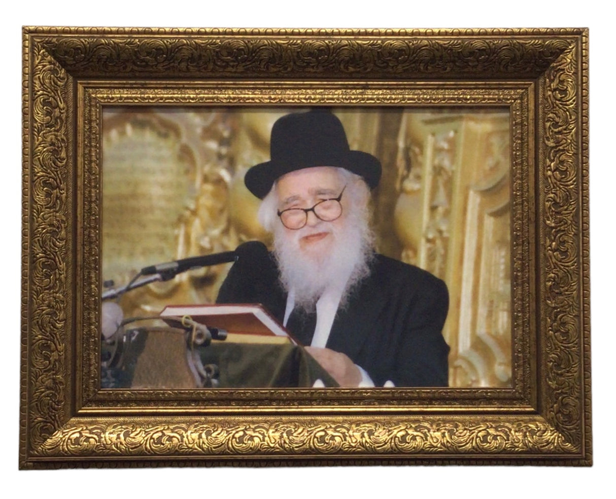 Painting of Harav Schach, size 14*20 - LEHADAR