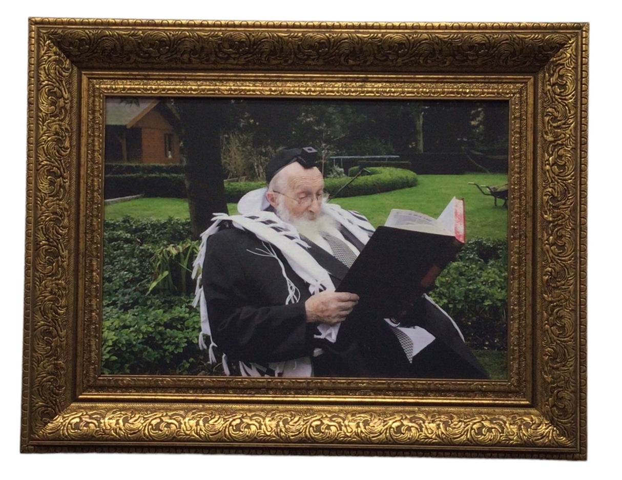 Painting of R' Chaim Scheinberg, Size 14x20, Gold Frame - LEHADAR