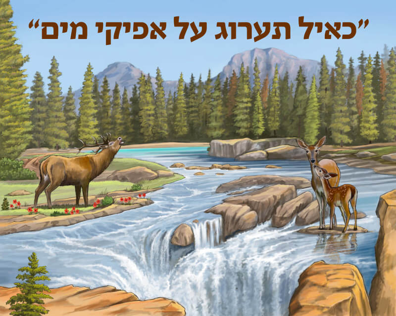 Canvas Paint By Number 20"x25" - "כאיל תערוג" - LEHADAR