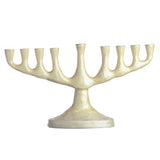 Menorah Stainless Steel 5.5 x 10"