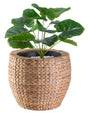 Water Hyacinth Round Floor Planter with Metal Pot, Large - LEHADAR