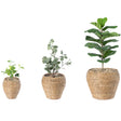 Woven Round Flower Pot Planter Basket with Leak-Proof Plastic Lining- Set of 3 - LEHADAR