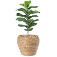 Woven Round Flower Pot Planter Basket with Leak-Proof Plastic Lining - Large - LEHADAR