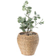 Woven Round Flower Pot Planter Basket with Leak-Proof Plastic Lining - Medium - LEHADAR