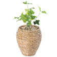 Woven Round Flower Pot Planter Basket with Leak-Proof Plastic Lining- Small - LEHADAR