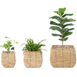 Woven Square Flower Pot Planter with Leak-Proof Plastic Lining- Set of 3 - LEHADAR