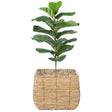 Woven Square Flower Pot Planter with Leak-Proof Plastic Lining - Large - LEHADAR