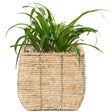 Woven Square Flower Pot Planter with Leak-Proof Plastic Lining - Medium - LEHADAR
