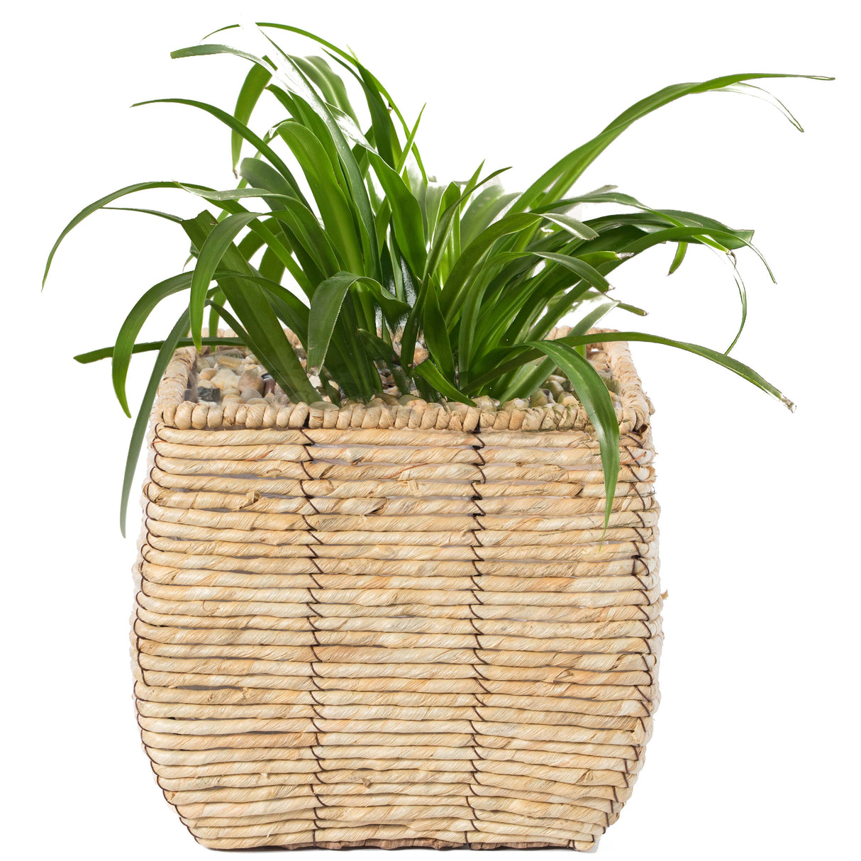 Woven Square Flower Pot Planter with Leak-Proof Plastic Lining - Medium - LEHADAR