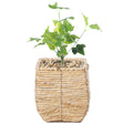 Woven Square Flower Pot Planter with Leak-Proof Plastic Lining- Small - LEHADAR