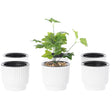 White Flower Pot Self Watering Planter, 6 Pack - LEHADAR