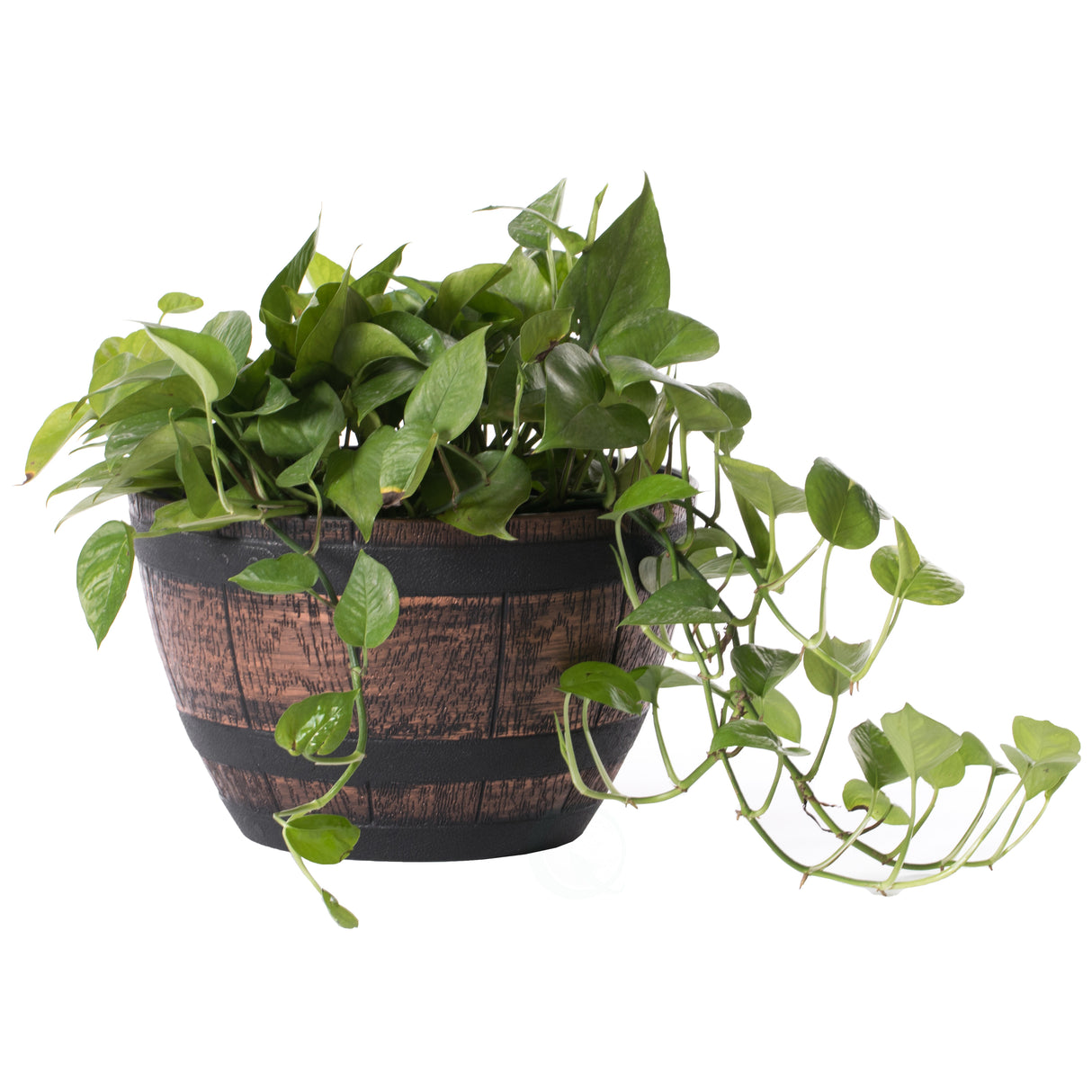 Brown Outdoor Rustic Half Barrel Flower Garden Planter Bowl, Plastic, Small - LEHADAR