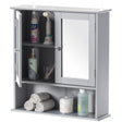Gray Mirror Wall Mounted Cabinet For the Bathroom and Vanity with Adjustable Shelves - LEHADAR