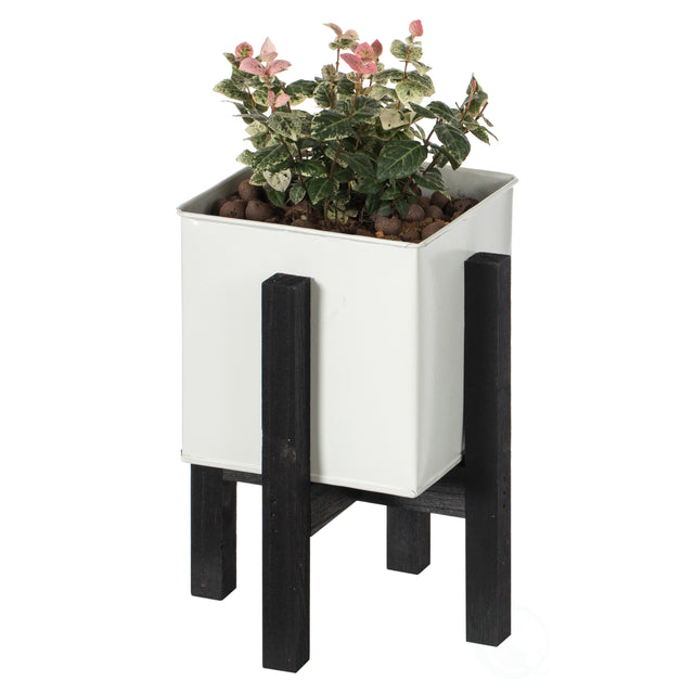 Indoor and Outdoor White Iron Planting Box with Black Wooden Frame, Small Planter - LEHADAR