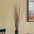 Brown Natural Decorative Dry Branches Authentic Willow Birch Sticks for Home Decoration, Wedding Craft, and Floor Vase - LEHADAR