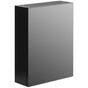 Wall Mount Bathroom Mirrored Storage Cabinet with Single Door | 2 Adjustable Shelves Medicine Wood Organizer Storage Furniture for Bathrooms, Kitchens, and Laundry Room (Black) - LEHADAR