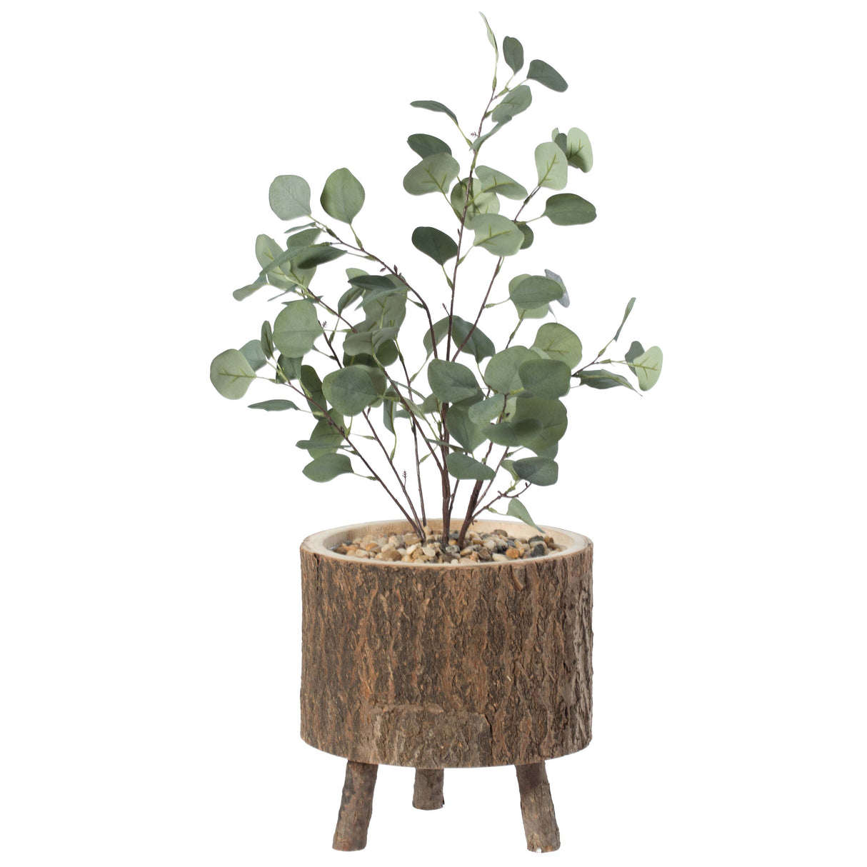 Wooden Stump Tree Log with Bark Planter Pot with Small Tree Branch Legs - LEHADAR