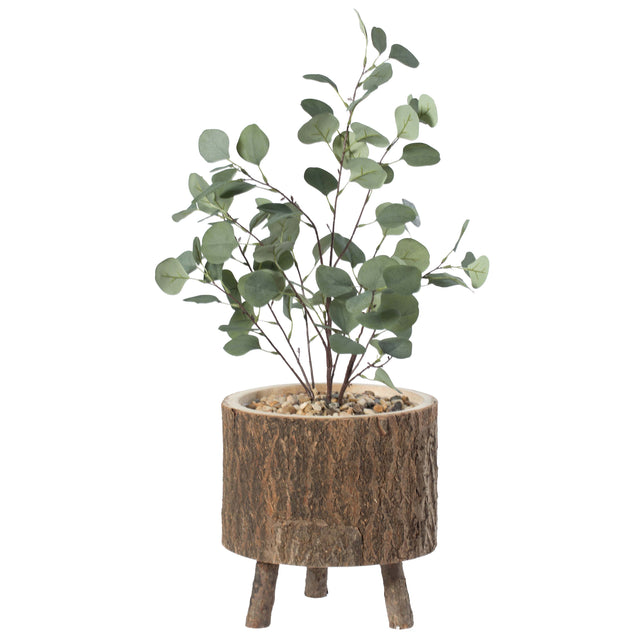 Wooden Stump Tree Log with Bark Planter Pot with Small Tree Branch Legs - LEHADAR